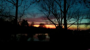 Early Evening Inspiration