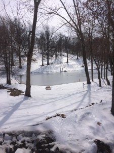 A blissful snow to match a blissful landscape.