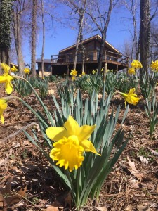 Spring has sprung. Barbie Hunt