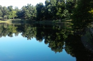 Mahr Park Reflection - Sam Koltinsky