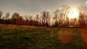 Mahr Park sunset on field