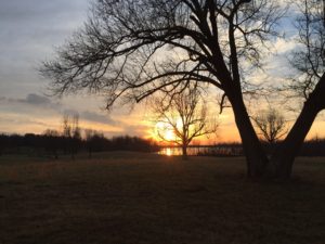 Setting sun and rolling hills