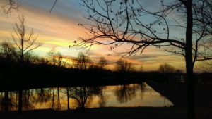 Springing into the sunset