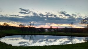 Still water and a painted sky